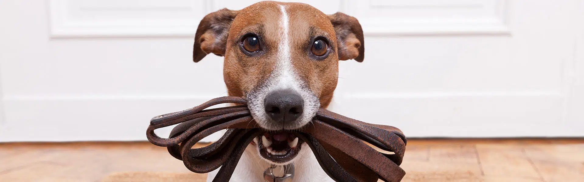 הדרכות ומאמרים